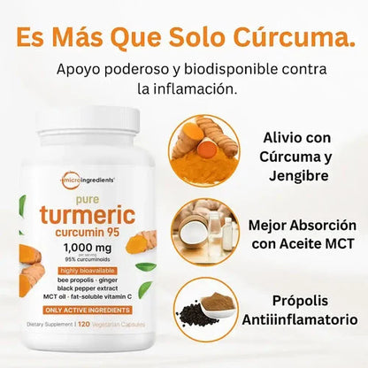 Turmeric Curcumin (120 cápsulas)