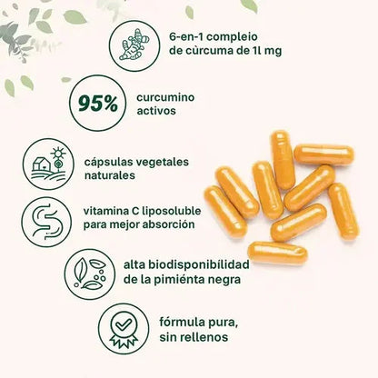 Turmeric Curcumin (120 cápsulas)