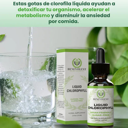 LIQUID CHLOROPHYLL™- Gotas de clorofila x59 ml